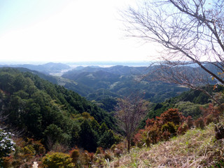 P1010292