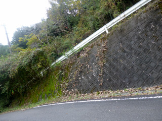 P1010339