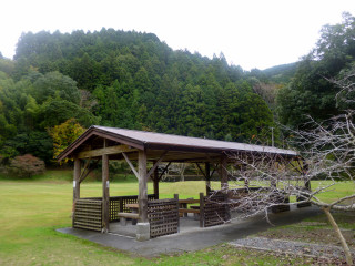 P1010529