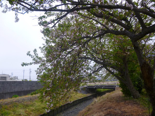 P1030741